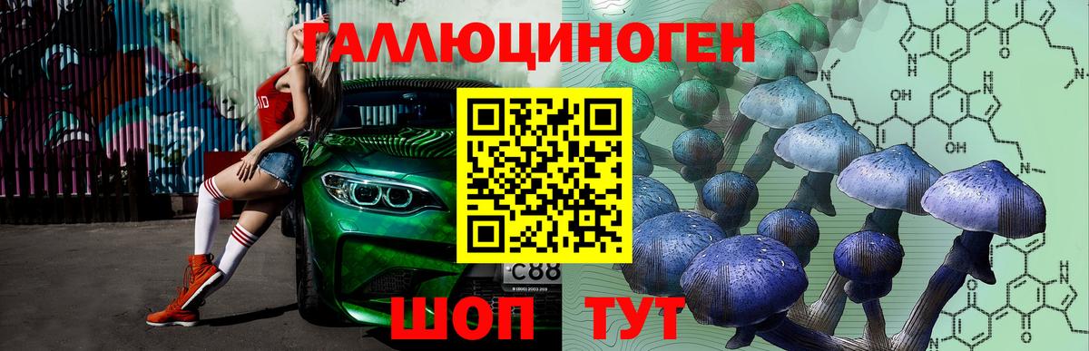Галлюциногенные грибы прущие грибы Россошь