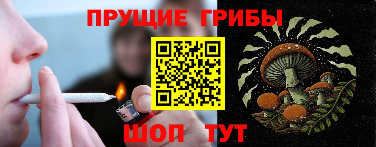 Галлюциногенные грибы Magic Shrooms  купить наркоту  Россошь  Вход с VPN 