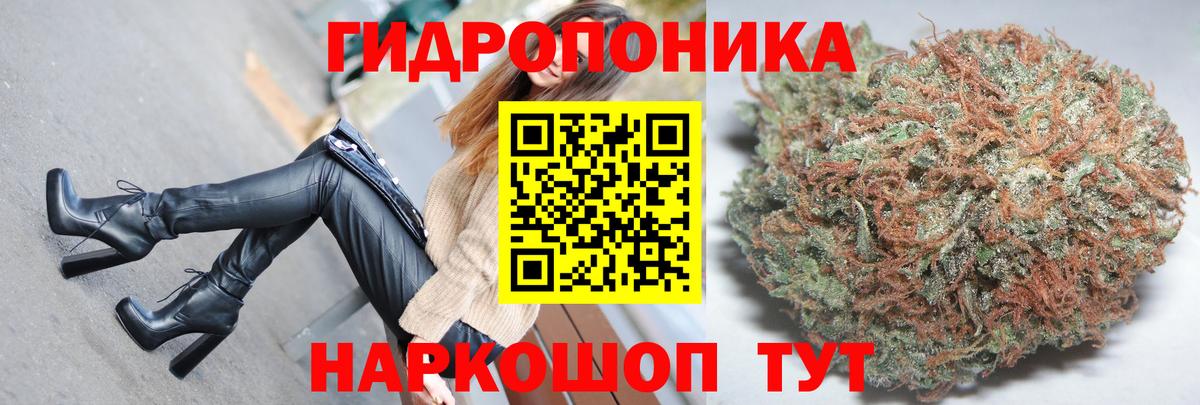 Конопля ГИДРОПОН  Бошки Шишки гибрид  Россошь  Вход с VPN  Каннабис THC 21% 